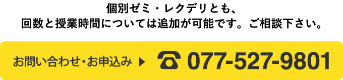 個別ゼミ・レクデリとも、回数と授業時間については追加が可能です。ご相談下さい。